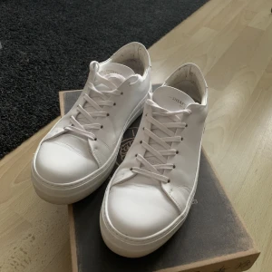 Sneaky Steve sneakers - Almost new. Size 40, but feels more like 39.