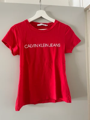T-shirt Calvin Klein - I väldigt bra skick!