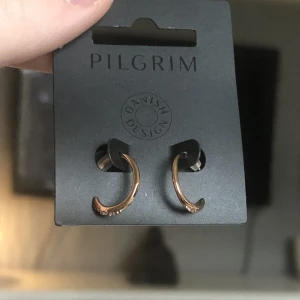 Pilgrim guld ögonfärgen - OANVÄNDA pilgrim ögonhängen. Original priset är 200kr säljs för 100kr! Priset går alltid att diskutera 
