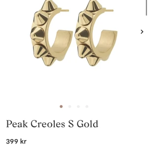 Edblad örhängen  - ❗️Intressekoll❗️ inga defekter eller syn på användning! Kan tänka mig att byta mot ett par i silver också!! 