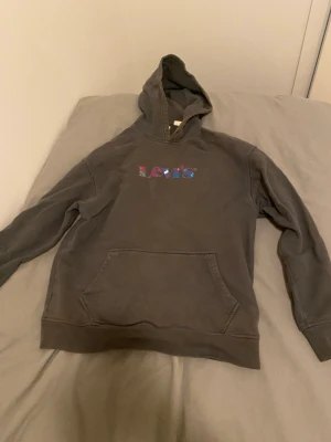 Levi’s hoodie  - På logan är det glitter ovanför. Bra hoodie och fräsch. Använt den typ tre gånger. Hör av er!