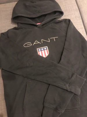 Gant Hoodie - Hoodie i fint skick
