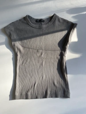 Topp - Säljer denna T-shirt från zara i nyskick. Köparen står för frakt.