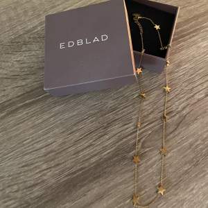 Ett jättegulligt halsband från Edblad i guld, så gulligt☺️☺️💞