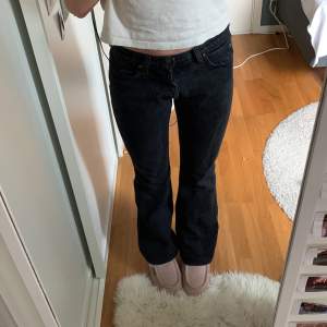 Svarta bootcut jeans från Lee i stl 28/32😍perfekt till hösten🍁 fint skick