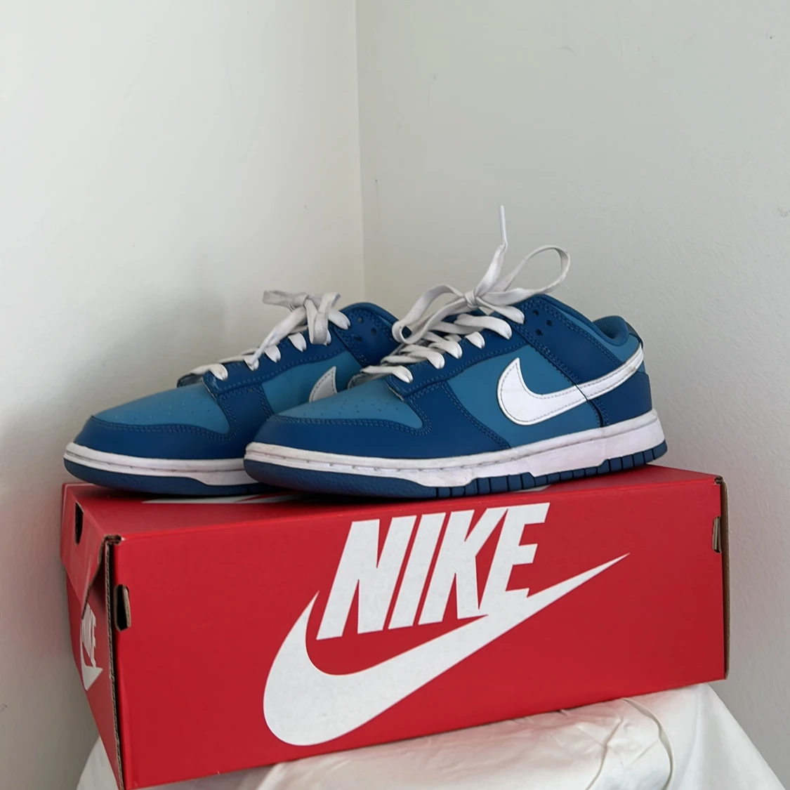 Nike Dunk Low Retro Marine Blue 