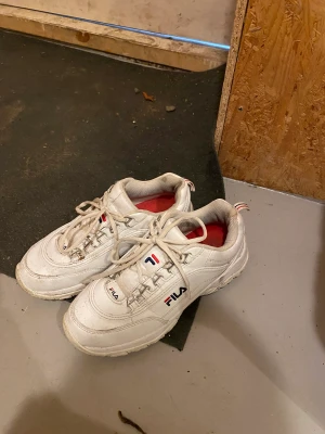 Skor  - Jättefina skor fila 