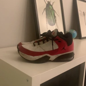 Jordans  - Lite slitna men funkar bra 