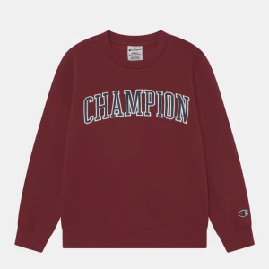 Champion tröja - Hej! Säljer nu min champion tröja i storleken M/L (herr storlek). Jag brukar ha storleken S/M och denna sitter endast lite oversized på mig. Originalpris: 460kr Mitt pris: 300kr Skriv till mig privat om du har frågor!💗