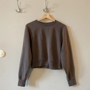 Tröja - Lite kortare i modellen och har en unik kall brungrå färg! 200 + frakt!