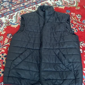 Zara väst - Sälj då jag inte använder den längre. Den är i storlek L och är tts.
