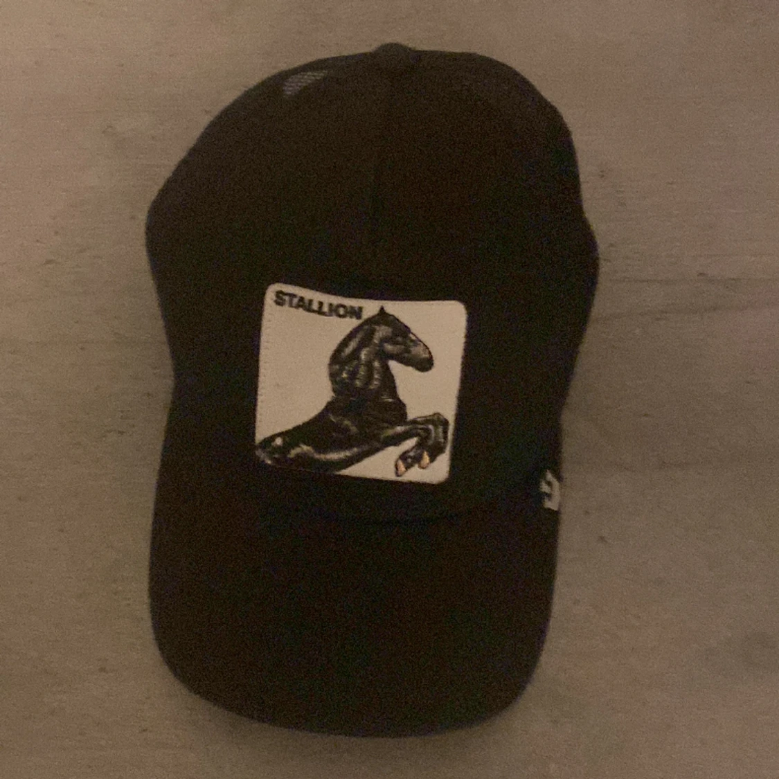 Stallion keps - 91