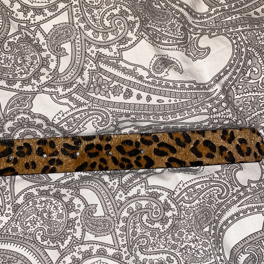 Leopard skärp - 2