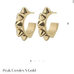 Edblad örhängen  - Säljer dessa oanvända populära örhängena från Edblad!😊Nypris ligger på 399kr!