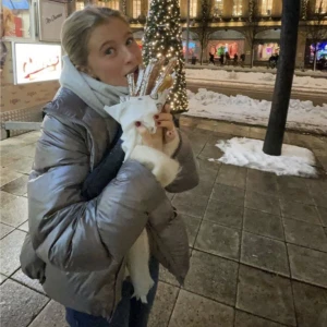 Vinter jacka - Säljer den här jätte snygga uniqlo jackan köpt för 1300. Bilderna e llånade men de e exakt samma jacka och den är i nyskick 🙌