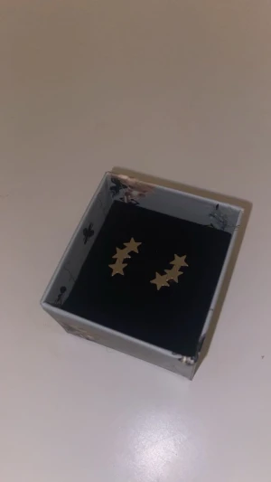 edblad örhängen - säljer mina stjärnörhängen ifrån edblad då de inte har kommit till användning. tror inte de säljs längre men fick de för ungefär 4 månader sen och de kostade 349kr. nästintill aldrig använt dom, max 3 gånger. ❣️❣️