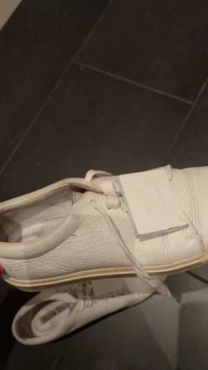 Acne  sneakers - Väldigt snygga till allt❤️