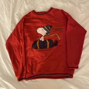 Sweatshirt  - Jättesöt sweatshirt för hösten/vintern! I använt skick, vintage