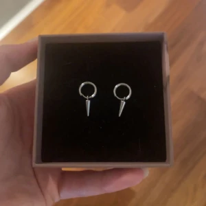 edblad örhängen - säljer mina små spikar ifrån edblad eftersom dom inte kommer till användning ❤️