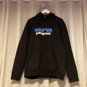 Patagonia & Asos Hoodies - Säljer dessa för 350:-