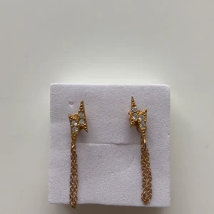 Blixtörhängen  - Så snygga blixtörhängen!! Köpta i Paris men har glömt butiken!