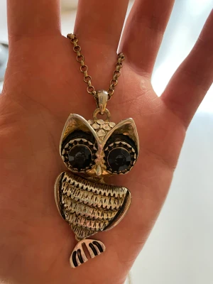 Halsband - Halsband med lång kedja. Går ju att sätta smycket i en kortare kedja också.