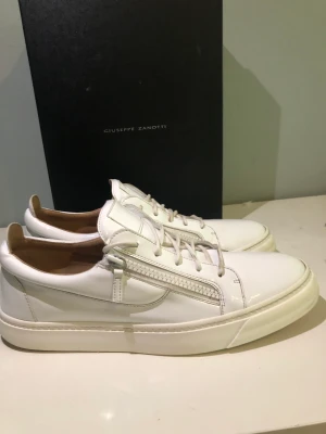 Guiseppe zanotti skor - Ett par feta giuseppe zanotti skor i storlek 47 men passar även 46 och 45. Skick 9.5/10.Använda två gånger. Anledning till säljning är pga att de var förstora då jag bara har storlek 44. Box och annat medföljer. Nypris 6000