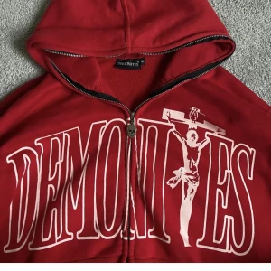 demonites - Sällsynt Demonites hoddie som ej säljs längre. Säljer för 950kr+frakt (frakten står köparen för) Inga defekter och knappt använd, därför i väldigt bra skick.  (Stor i S)