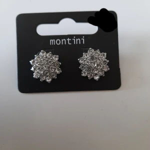 Örhängen - Örhängen märke montini aldrig använt