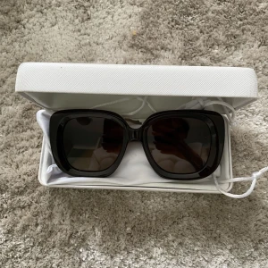 CHIMI LIMITED EDITION - Brown/Brun  Limited Edition 2022