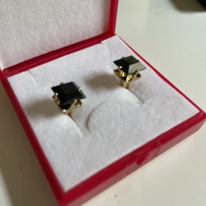 Örhängen - Nickelfria örhängen. På den ena pluppen har det lossnat en del men den är fortfarande funktionell. 