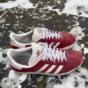 Adidas Gazelle - Säljer nu ett par tvärsnygga adidas gazelle i storlek 43 1/3🔥 dom är vinröda, varsamt använda helt utan hål. Hör av dig vid frågor, kan postas eller hämtas upp i Jönköping!