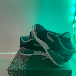 Nike Air Jordan 3 Retro ‘Pine Green’ - Pris kan absolut diskuteras. Skick 8/10. Bara att skriva om ni är intresserade eller vill ha mer bilder:)