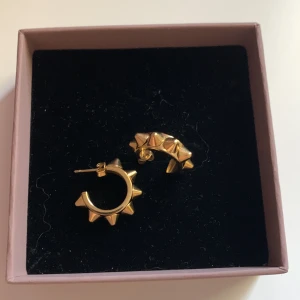 Edblad örhängen - Super fina Edblads örhängen som är sparsamt använda! Säljer dem nu för ingen användning för dem💕