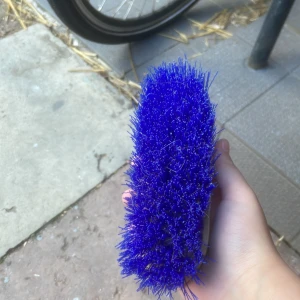 Rotborste  - En söt rotborste. Rengör noggrant efter jag hört om någon är intresserad.