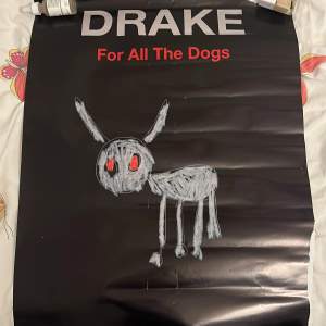 Säljer min drake poster, gillar den men undrar om nån annan vill köpa den. Slitna sidor. Isåfall skicka ett prisförslag. 