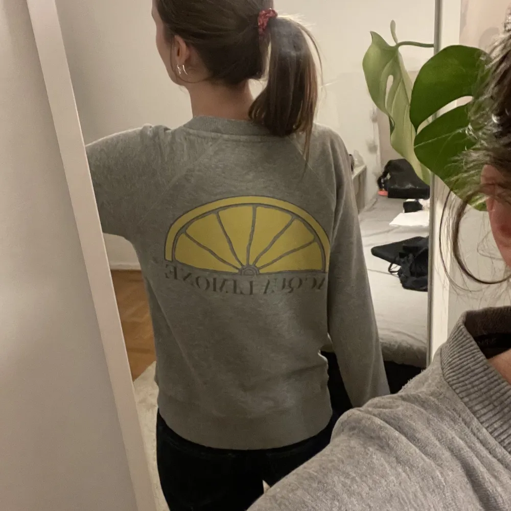 Säljer denna gråa sweatshirten från Aqua Limone. . Hoodies.