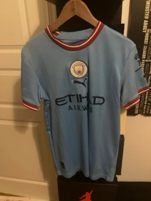 Manchester City matchtröja Puma - Ljusblå Manchester City matchtröja från Puma med klubbmärke på bröstet och Etihad Airways-tryck. Rödvita detaljer på krage och ärmslut. Tillverkad i lätt och ventilerande material, perfekt för fotboll eller träning.
