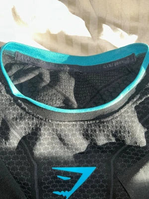 Gymshark Onyx V1 - En original Gymshark onyx v1 från första släppet långt tillbaka. Säljes pga att den inte passar mig längre, blivit lite för tight runt magen. Storlek M. Lappen är bortklippt då jag ägt den ett tag nu och använt den några gånger och lappen störde som fan i nacken. Inga skador och ser helt ny ut utöver lappen som är borta.