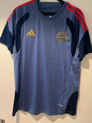 Bayern München tränings Kit 26/27 - Ett Bayern München tränings kit 26/27 shorts med fickor,  storlek L helt nytt