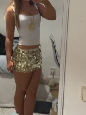 Gold digger haloween sett🔥 - Säljer både toppen och kjolen tillsammans. As snyggt om man vill va gold digger nu till halloween men speciellt kjolen är ju as snygg annars också.🥂🔥