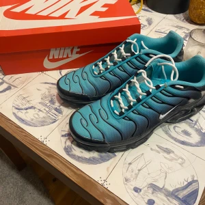 Nike Air Max Plus blå/svarta sneakers - Nike Air Max Plus sneakers i blått och svart med vita snören och extra svarta snören. Sälja ej längre vad jag vet. Dem är köpta i Japan. Nytt pris 2299kr har nästan aldrig använts 