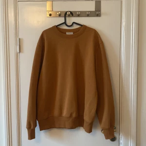 Brun sweatshirt från These Glory Days - En stilren brun sweatshirt från These Glory Days i storlek L. Tröjan har rund halsringning, ribbade muddar och är tillverkad i mjuk bomull. Perfekt för en chill och avslappnad look.