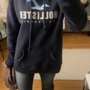 Hollister tröja - Hollister hoodie