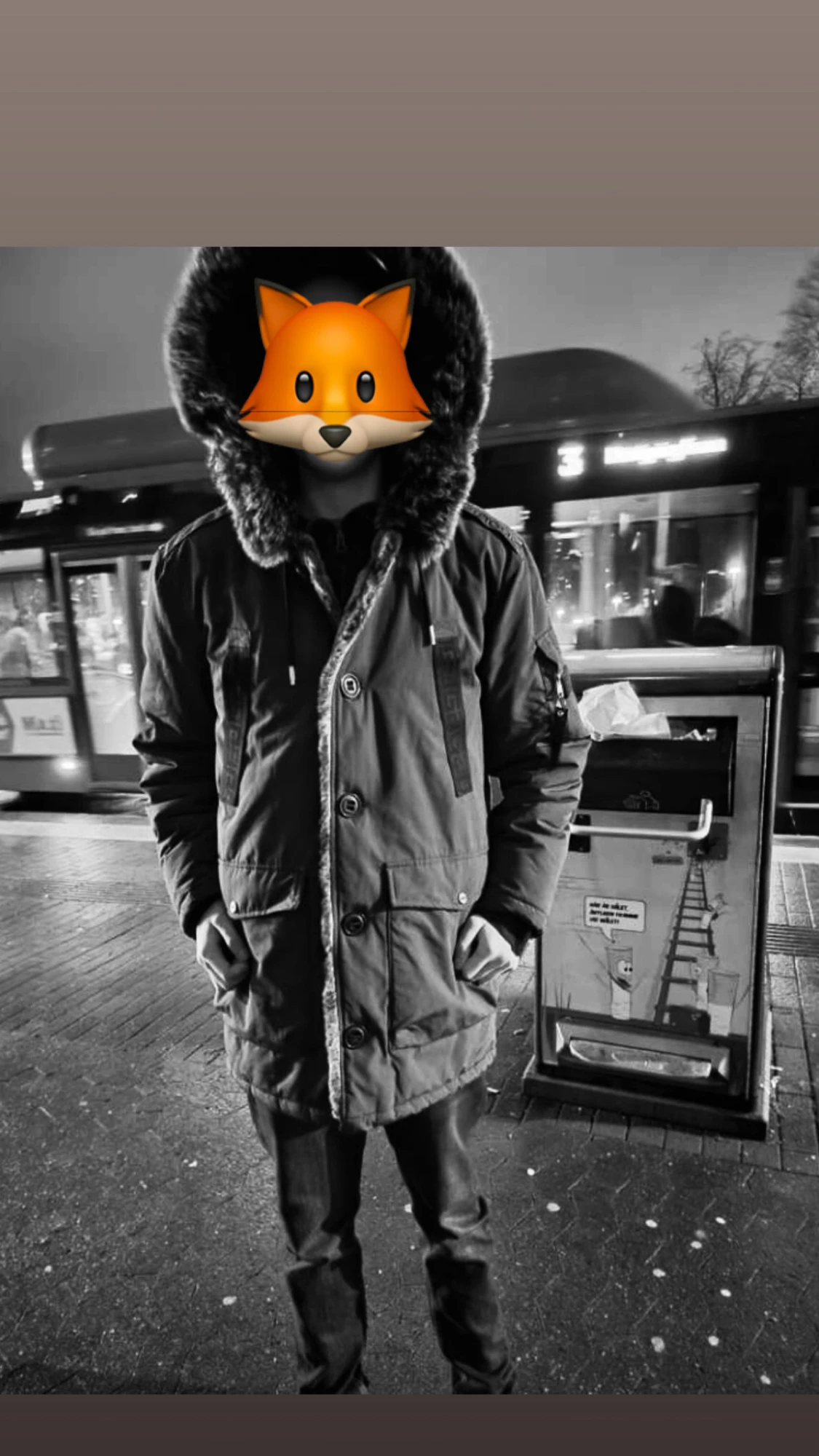 Glorius gangsta Grå parkas  - 2