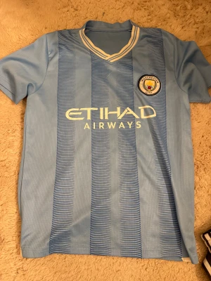 Manchester City ljusblå fotbollströja - Säljer en ljusblå Manchester City fotbollströja med vertikala ränder i mörkare blått och klubbmärke på bröstet. V-ringad krage med vita och blå detaljer, tryck från Etihad Airways på framsidan. Tillverkad i lätt polyester, perfekt för match eller träning.