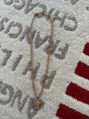 Guldigt halsband med lejonberlock - Snyggt halsband i guldton med en rund berlock som har ett detaljerat lejonhuvud i mitten. Runt lejonet finns en glittrig ram med små stenar som ger extra bling. Kedjan är tvinnad och har ett klassiskt lås. Perfekt för dig som gillar statement-smycken.