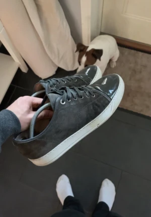 Lanvin cap toe elephant grey  - Säljer ett par snygga grå sneakers med vit sula och cool lackad tå. Slitna men i fint skick säljs till bra pris. Pris kan diskuteras. Snörena är är lite slitna men inget som är helt sönder.  Storlek 44/uk9. INGEN BOX!