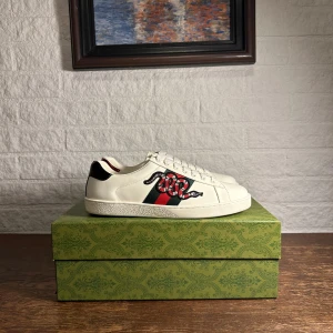 Gucci Ace - Feta vita Gucci Ace sneakers i storlek 43! Box, dustbag och ett par skosnören följer med!