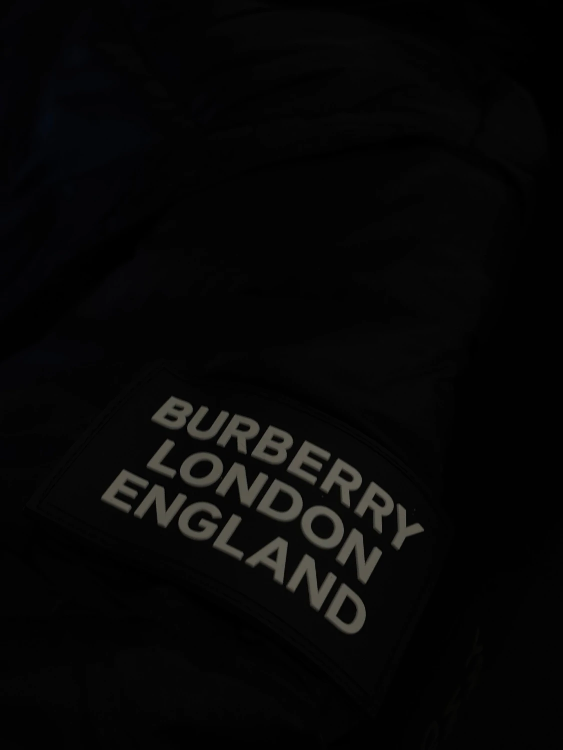 Svart dunjacka från Burberry med huva - 3